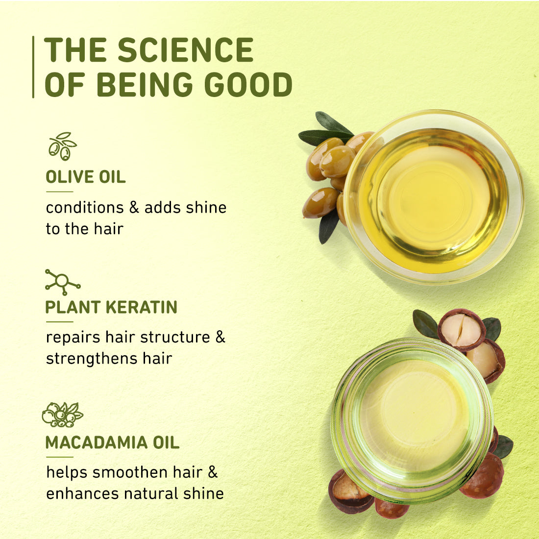 Plum Olive & Macadamia Mega Moisturizing Hair Mask | Repairs Damage | Smoothens Hair, 250g Buy at Indicrest Image 5