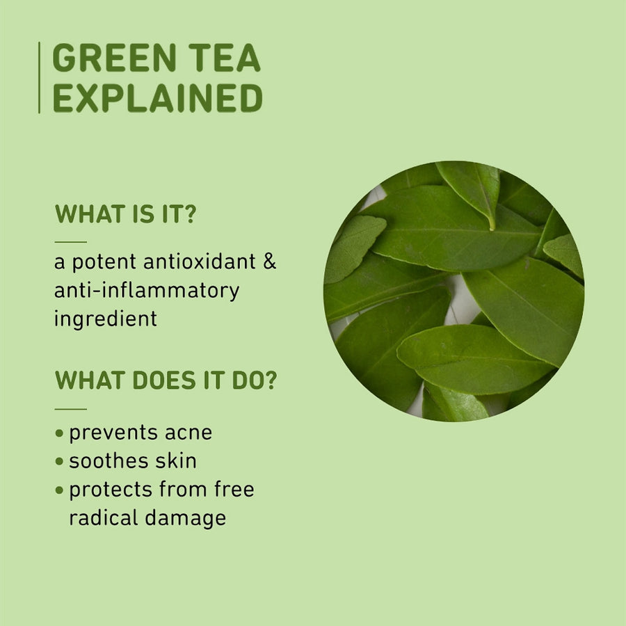Plum Green Tea Oil-Free Moisturizer for Oily Skin | Fights Acne & Controls Oil | Non-Comedogenic, 50ml Buy at Indicrest Image 7