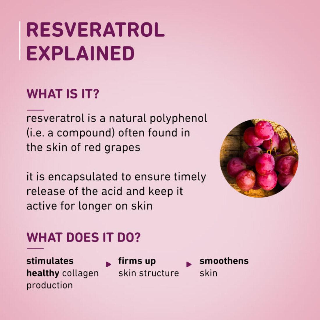 Plum 1% Resveratrol & Vitamin C Youthful Glow Moisturizer | Boosts Youthful Glow | Fades Dark Spots, 50g Buy at Indicrest Image 5