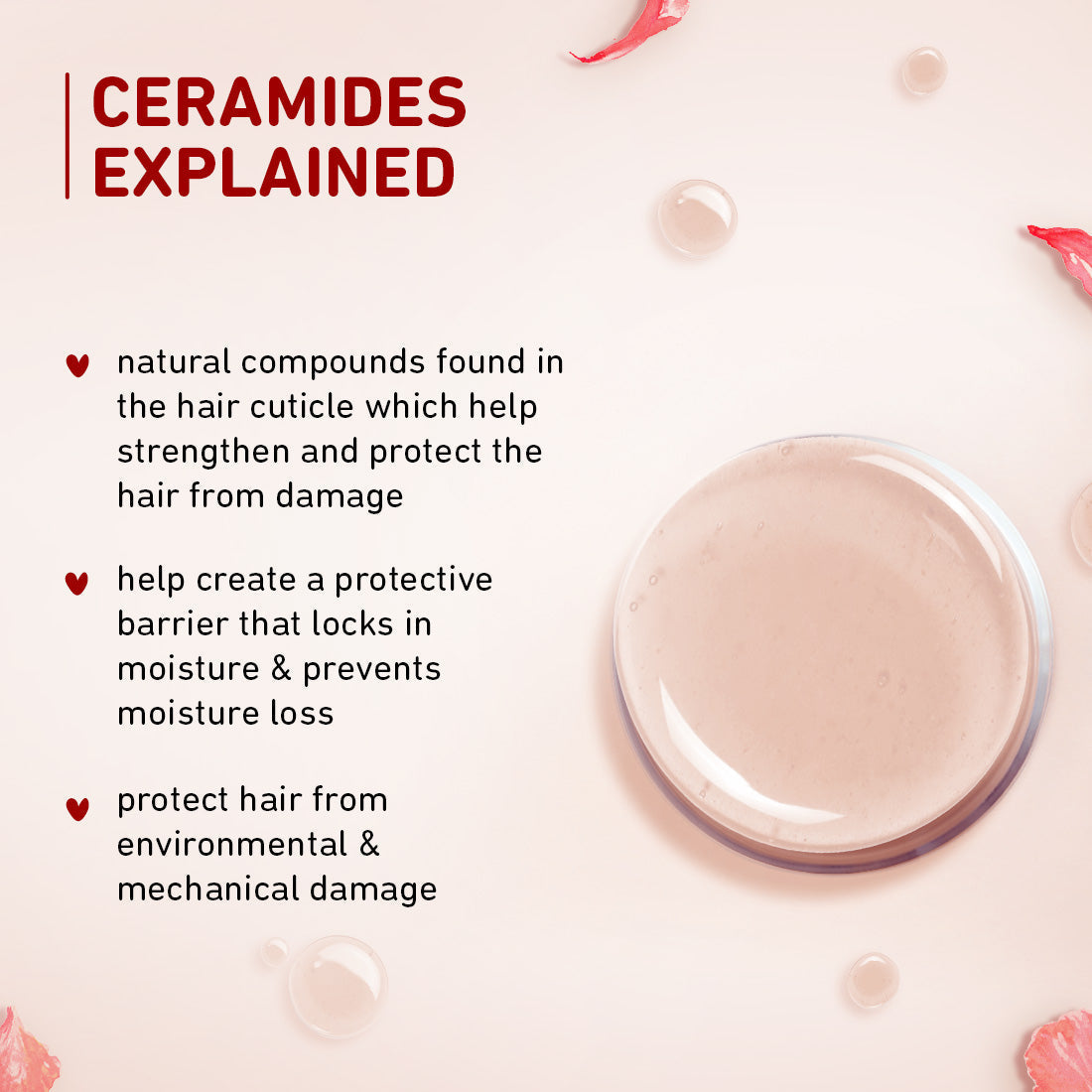 Plum Hibiscus & Ceramides Long & Healthy Conditioner | Smoothens Hair | Helps Prevent Split Ends, 175g Buy at Indicrest Image 6