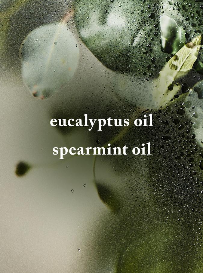 Bath & Body Works Eucalyptus Spearmint Shower Steamers, 6-Pack, 136 g / 4.8 oz Buy at Indicrest Image 2