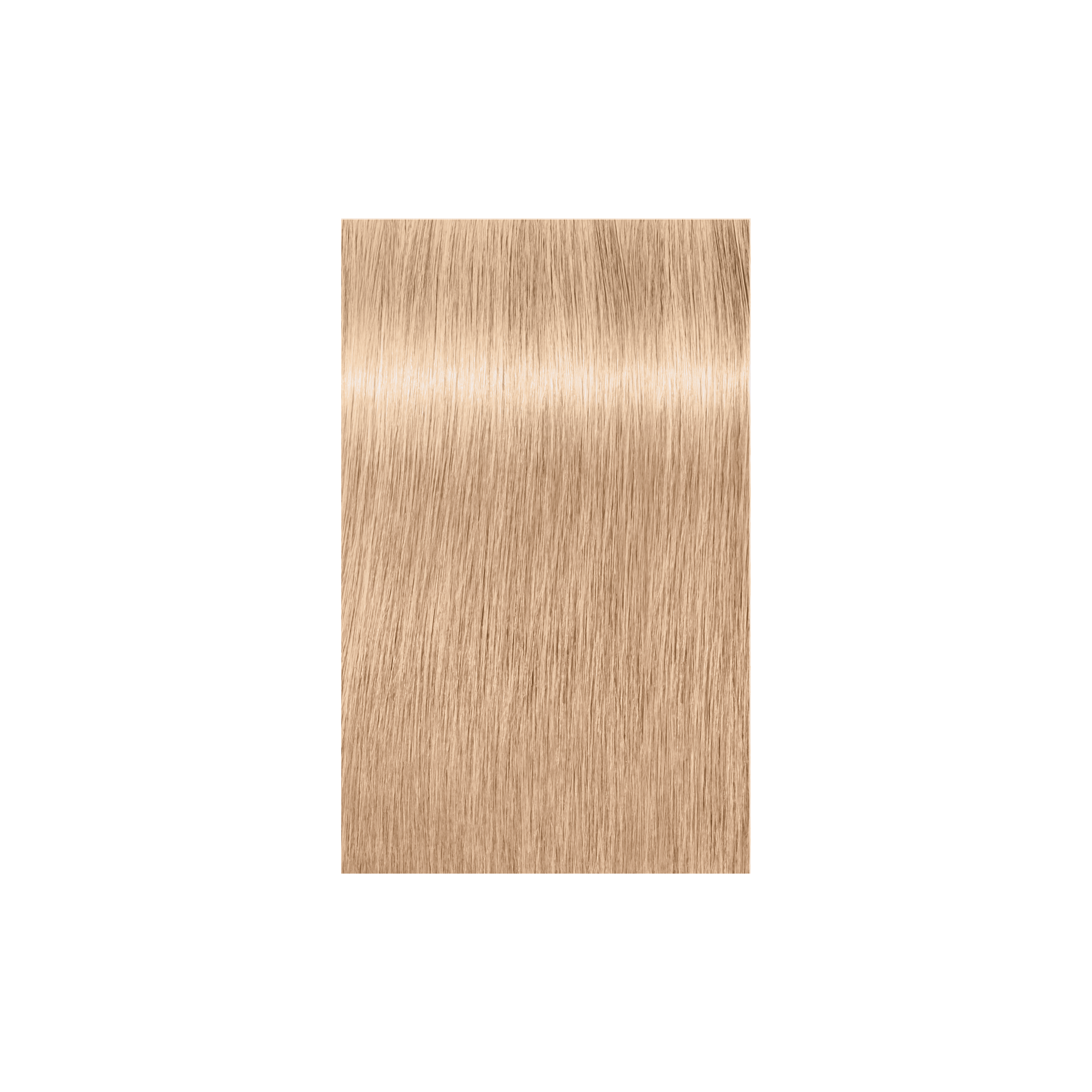 Schwarzkopf Professional Igora Royal Highlifts 10-19 Ultra Blonde Cendré Violet, 60ml Buy at Indicrest Image 2