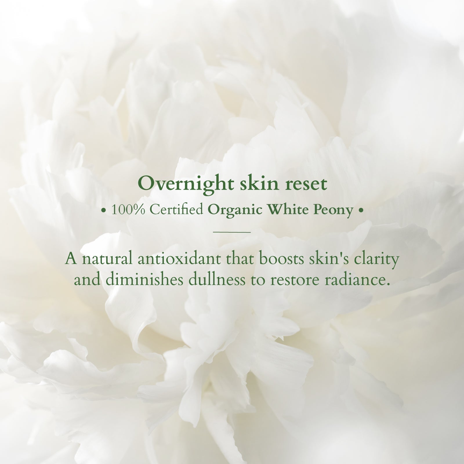 LOTUS ORG Precious Brightening Night Creme 30g - Indicrest Buy at Indicrest Image 3