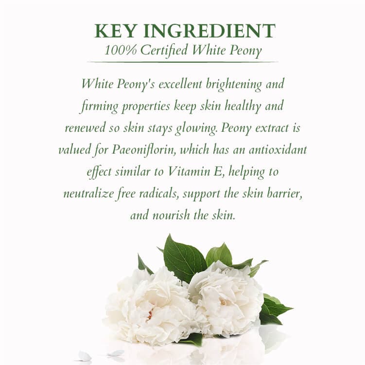 LOTUS ORG Precious Brightening Under Eye Creme 15ml - Indicrest Buy at Indicrest Image 3
