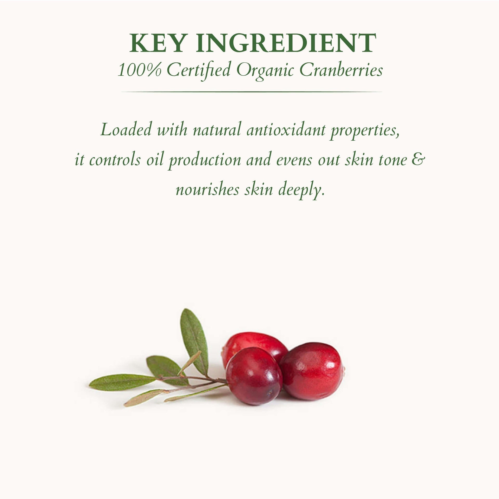 Lotus Organics+ Ultra Matte Mineral Sunscreen SPF 40 PA+++, 100g | Oil-Free, Matte Finish Buy at Indicrest Image 4