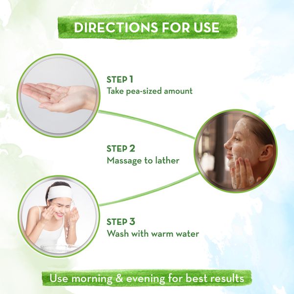 Natural Ingredients of Mamaearth Vitamin C Face Wash Explained
