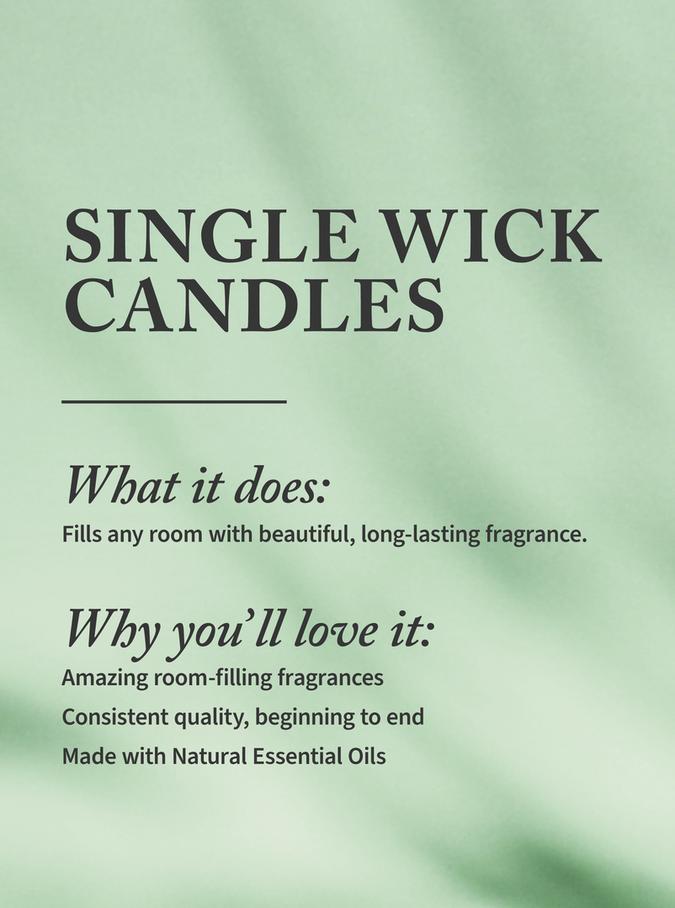 Bath & Body Works Viva Vanilla Single Wick Candle, 227 g / 8 oz Buy at Indicrest Image 2