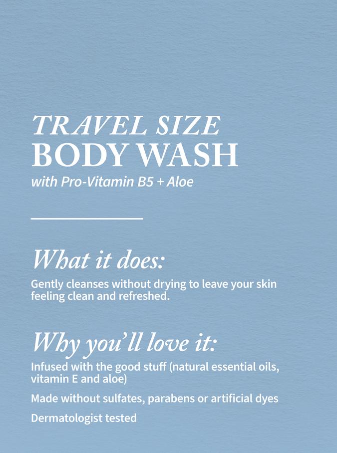Bath & Body Works Winter Candy Apple Travel Size Body Wash, 88 ml / 3 fl oz Buy at Indicrest Image 2
